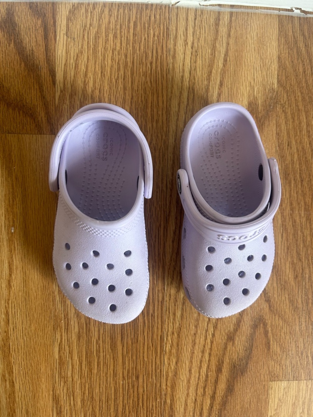 CROCS Kids Classic Clog in Light Lavender